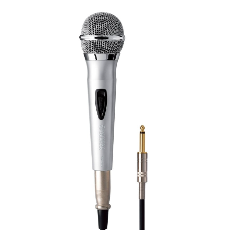 MIC