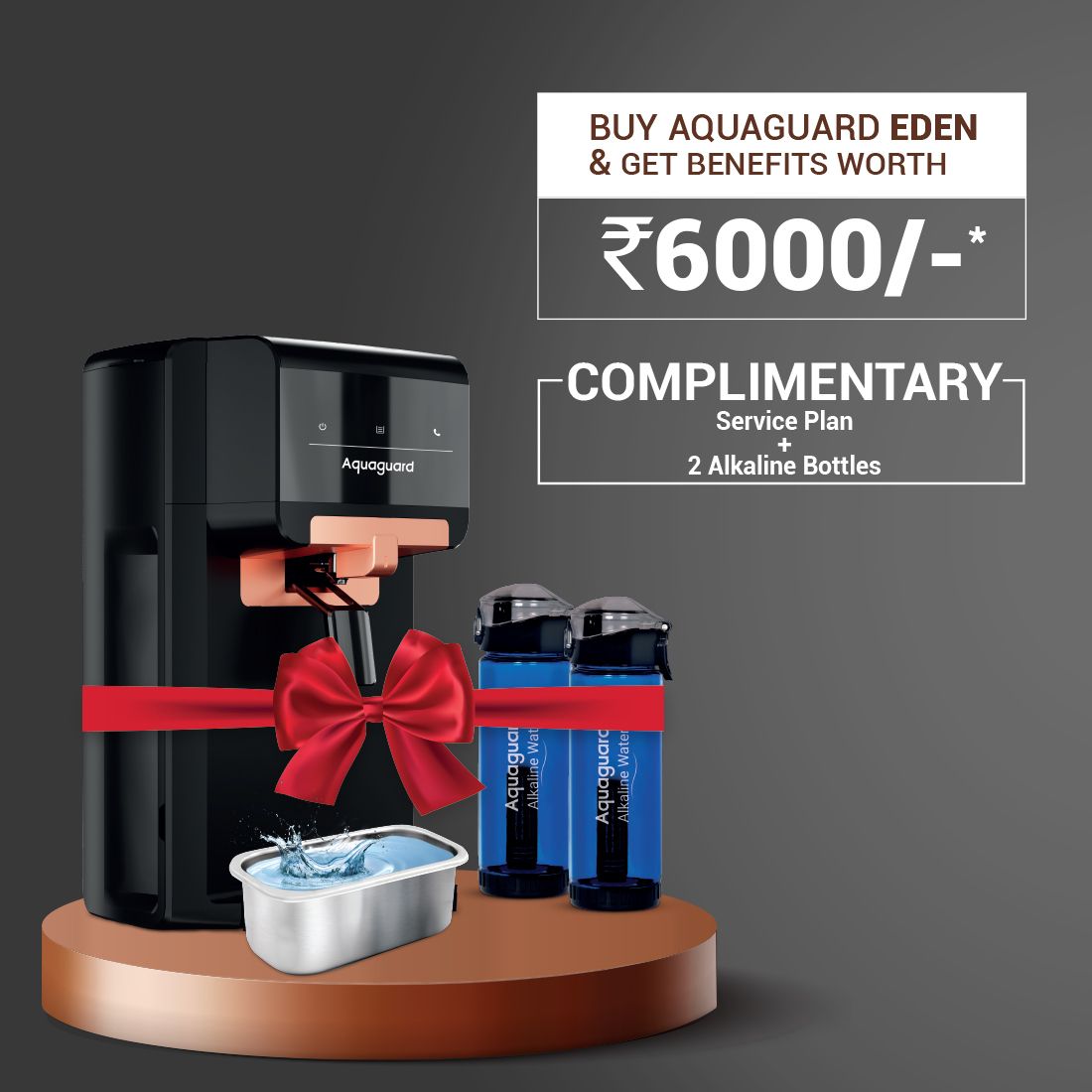 EUREKA FORBES Aquaguard Eden UV Stainless Steel Copper Water Purifier