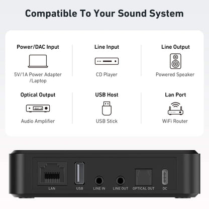 Arylic S10+ Wireless Music Streamer