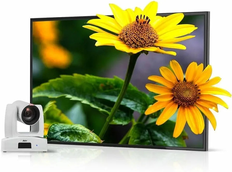 AVer PTZ211 12X HD AI PTZ camera