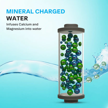 EUREKA FORBES Aquaguard Vector RO+UV+MC 2X Water Purifier