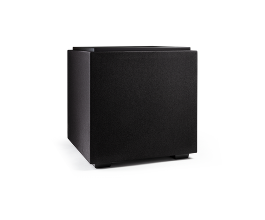 Descend DN10 Ultra-Performance 10" Subwoofer