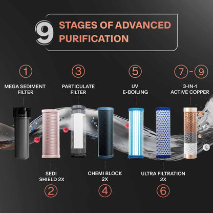 EUREKA FORBES Aquaguard Aspire Blaze 2X UV+UF Stainless Steel Water Purifier