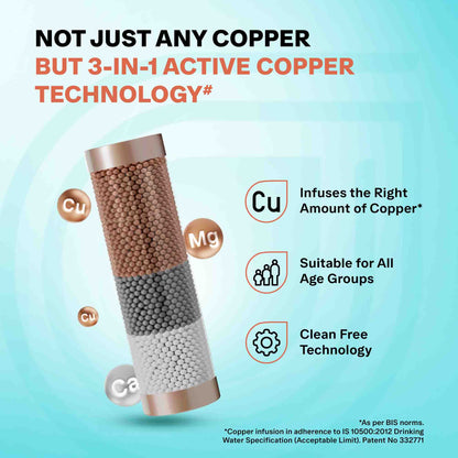 EUREKA FORBES Aquaguard Enrich Booster UV 2X Water Purifier